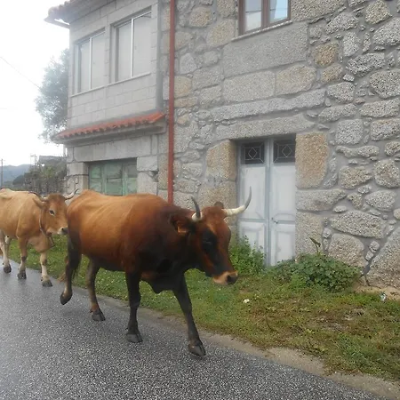 Casa Do Calado